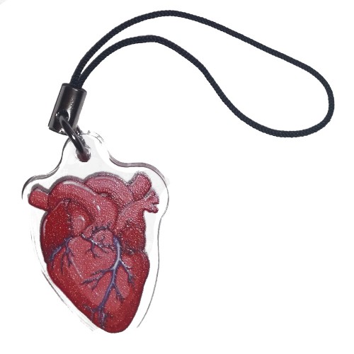 Charm/Keyring - Anatomical Heart